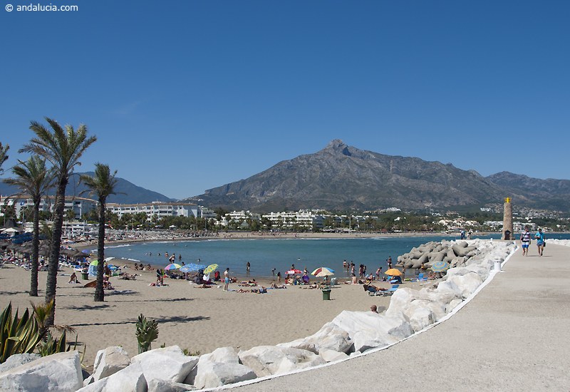 Nedvijimost v Puerto Banus Marbella